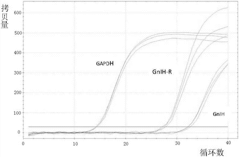 印尼产地的轻木也受到市场关注|三亿体育官网