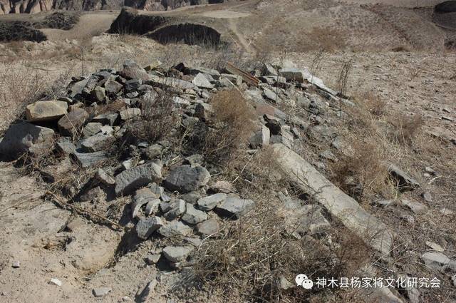 三亿体育手机版