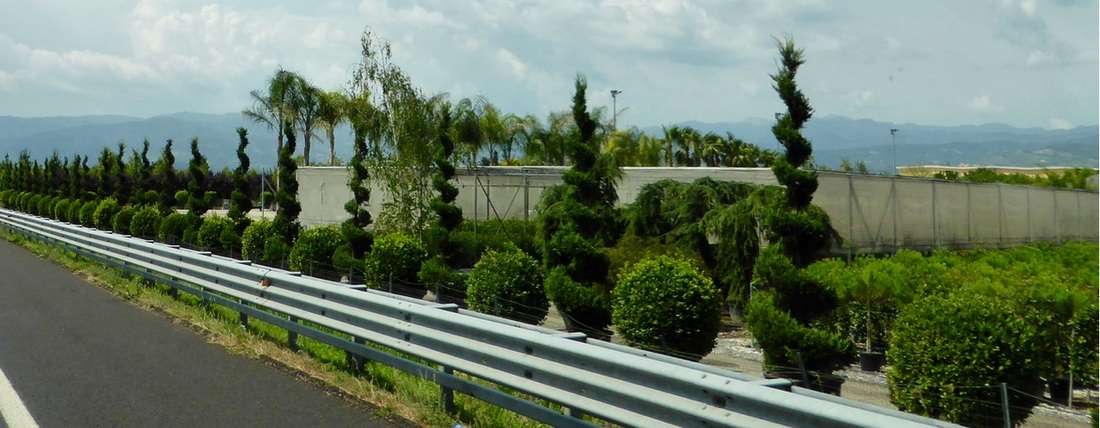 真实 真心 真诚 裸装者新闻发布会在沪隆重召开！|三亿体育手机版