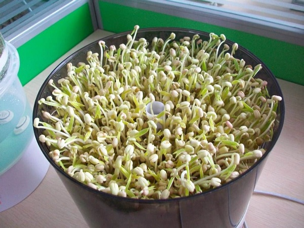 《怒海潜沙》首曝片花 张博宇实力演绎“胖爷”王胖子|三亿体育