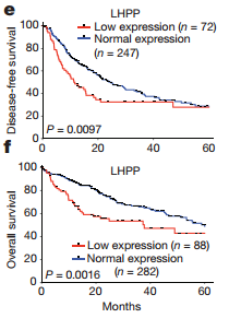 三亿体育手机版