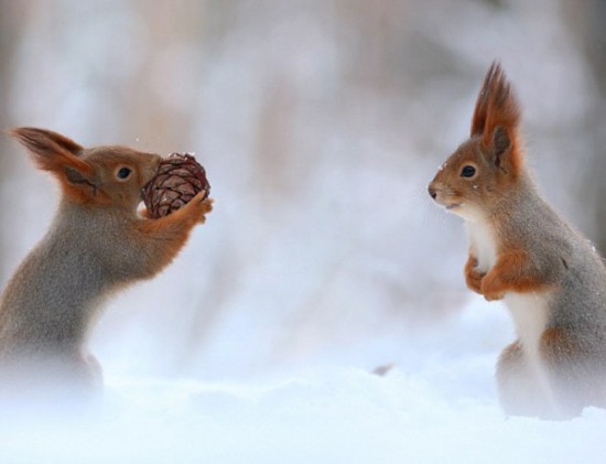 三亿体育手机版
