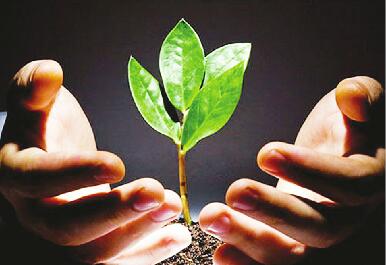 三亿体育官网:2014年12月中国木材市场价格指数(TPI)