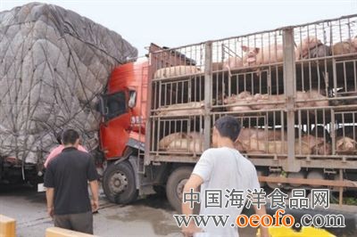 三亿体育手机版_温家宝：经济刺激政策早退可能致前功尽弃