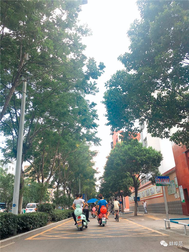 红花梨行情走跌价格回落|三亿体育(图1) 三亿体育手机版