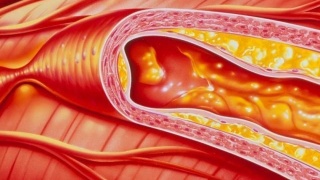 《绿皮书》3天破亿票房逆袭，今天你吃炸鸡了吗？【三亿体育官网】