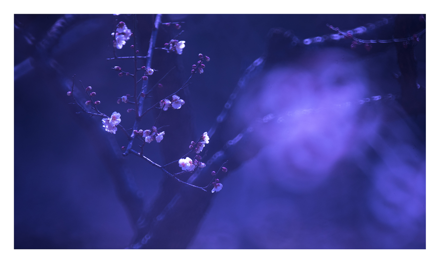 三亿体育官网|蔡康永首导电影《“吃吃”的爱》首映  韩寒助阵力挺