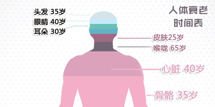 《侏罗纪世界2》无悬念夺端午档冠军 累计票房将破10亿大关:三亿体育官网(图2) 三亿体育手机版