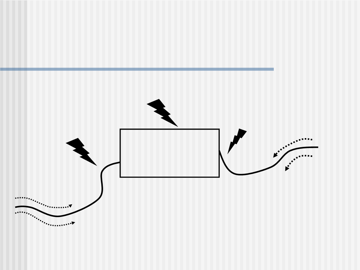 三亿体育官网:北美黑胡桃价格大跌