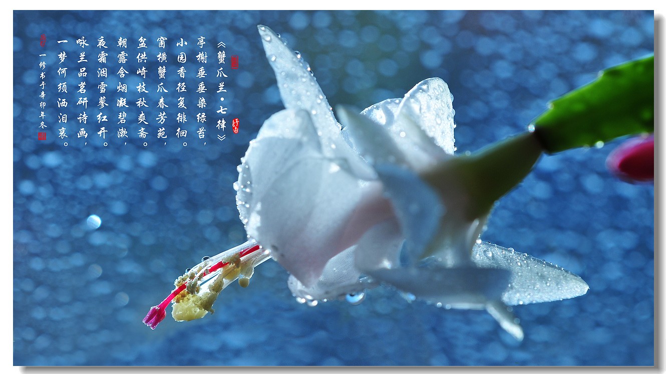 三亿体育手机版