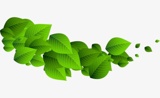 【三亿体育手机版】依贝龙凤檀铁线子中国市场量缩减