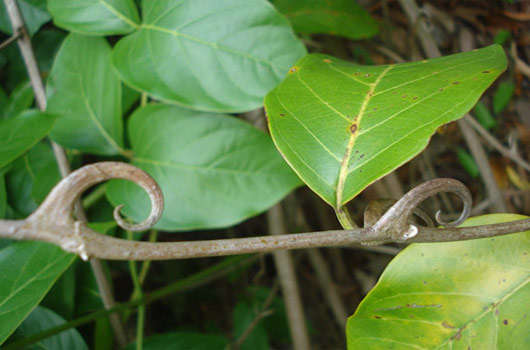 
上班时间发微商消息 可能会被公司开除：三亿体育官网