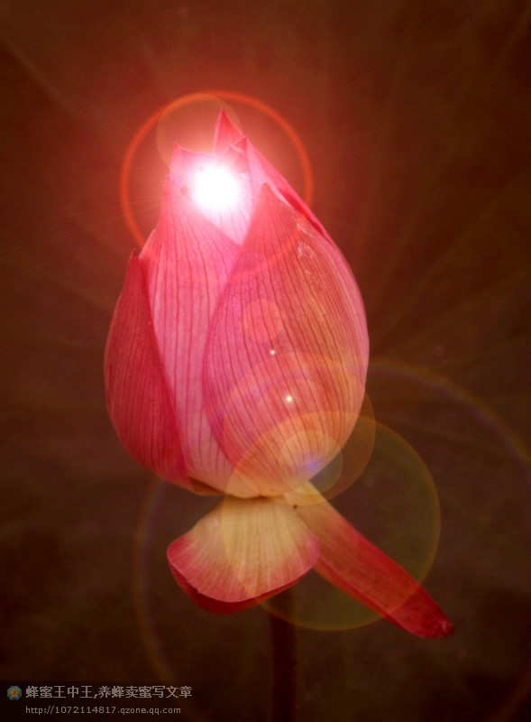 三亿体育手机版