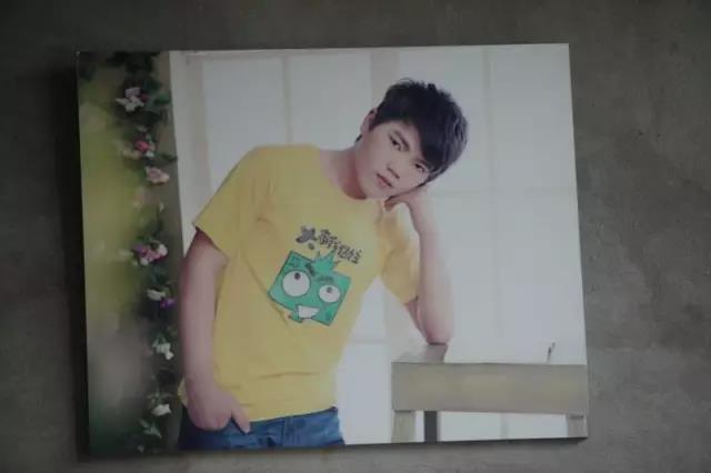 林业产业成为辽宁鞍山县经济有力支撑-三亿体育官网