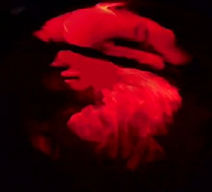 今日汇率(07.09.28)：三亿体育官网