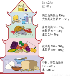 FCB决策制定所创立者 Matthew Willcox著书《畅销的原理：为什么好观念、好产品会一炮而